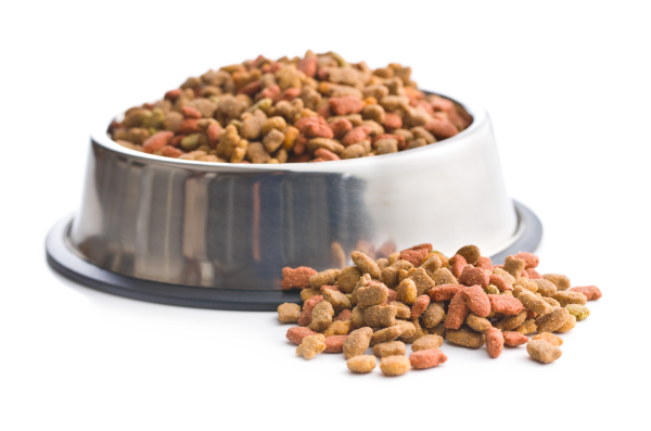 dry cat -food