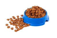 Dogs food